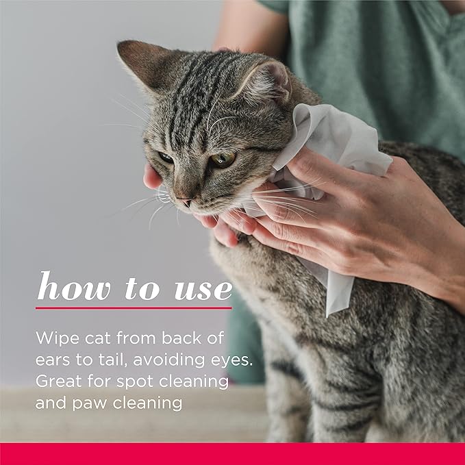 Burt's Bees for Pets Anti-Hairball Wipes for Cats with Sunflower Oil and Wheat Germ Oil, 98% Natural Origin Formulas, Cat Hairball Remedy, Cat Wipes for Hairballs, 50 Count - 6 Pack