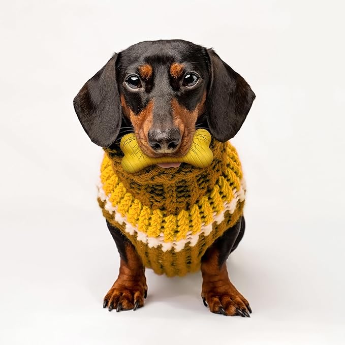 Playology Dog Toys | Dual Layer Bone Durable Chew Toy Bone for Dogs, Value 2-Pack | Small Apple Cider Scented Toy - Limited Edition Fall Scent | Easy to Clean and Made from Non Toxic Materials