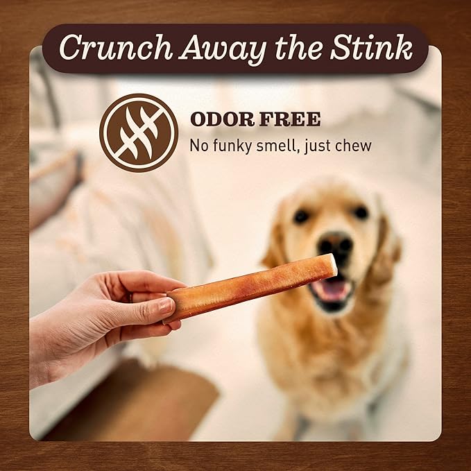 Pet Odor-Free Extra Thick Jumbo Bully Sticks for Large Dogs (6", 10 Pack) – All-Natural, Long-Lasting Dog Chews Made from 100% Grass-Fed Beef, High-Protein & Grain-Free.