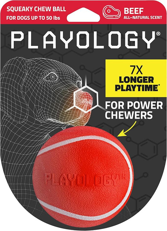 Playology Dog Toys | Squeaky Chew Ball - Bouncy Durable Floating Fetch Ball for Dogs | Medium Beef Scented Toy - Easy to Clean and Made from Non Toxic Materials