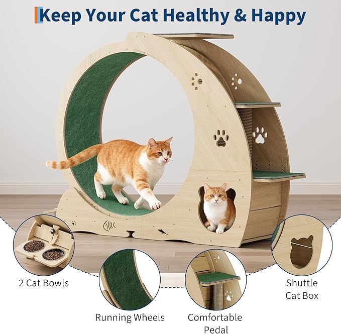 4-in-1 Cat Wheels for Indoor Cats, 40 Inch Large Cat Exercise Wheel, Running Treadmill Wheel with Carpeted Runway, Scratcher
