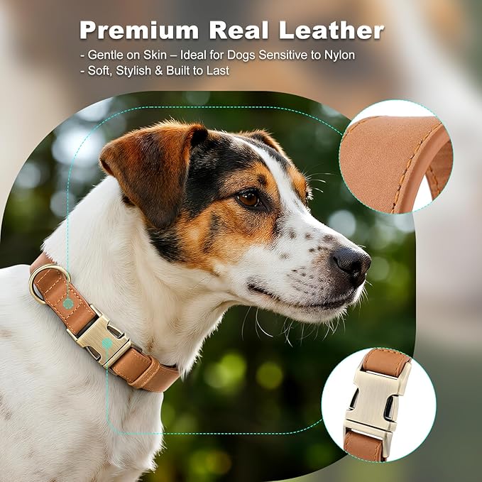 Plutus Pet Genuine Leather Dog Collar – Adjustable Pet Collar with Quick Release Metal Buckle, Soft Real Leather for Small Medium Large Dogs, Heavy Duty & Skin-Friendly (Light Brown, L)