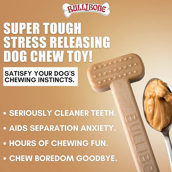 Bullibone Nylon Dog Chew Toy for Aggressive Chewers - Dental Hygiene Bone with Peanut Butter Flavor, Durable Tough Chew Toys for Extra Large Dogs, Indestructible Dog Bone - Single