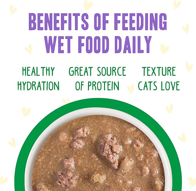 Weruva B.F.F. OMG - Best Feline Friend Oh My Gravy!, Chicken & Lamb Live N' Love with Chicken & Lamb in Gravy, 2.8oz Can (Pack of 12)