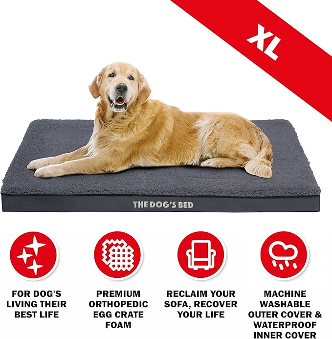 The Dog’s Bed Orthopedic Dog Bed, XL Grey Plush, Waterproof, Supportive Dog Bed with Washable Replaceable Covers, Veterinary Approved