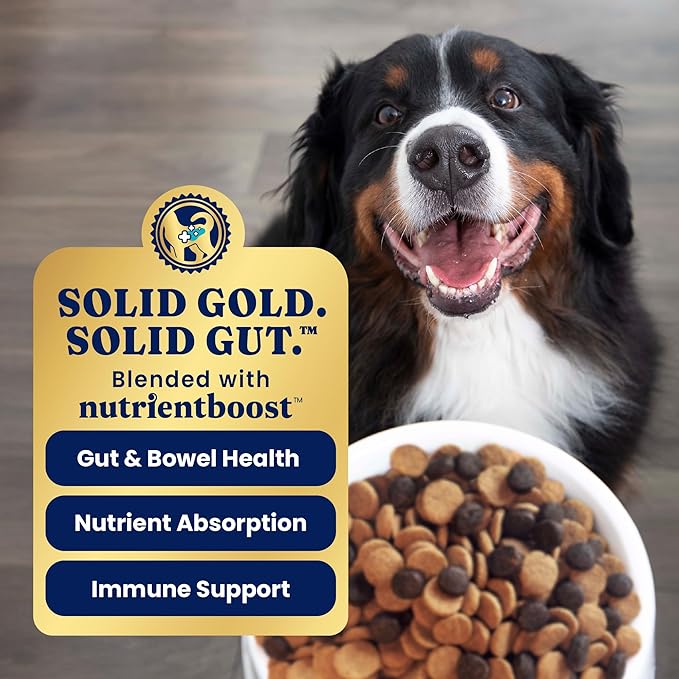 Solid Gold High Protein Dog Food Dry Dog Kibble - Premium Beef Protein & Digestive Probiotics for Energy, Muscle, Gut & Immune Support - Healthy Grain & Gluten Free Dogfood - Nutrientboost - 22 LB
