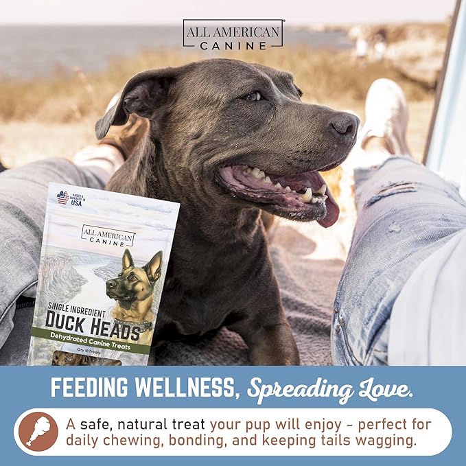 5 Natural Duck Head Dog Treats – Single Ingredient, Dehydrated & Digestible – Low-Fat, High-Protein Chew for Training & Dental Health – Made in USA