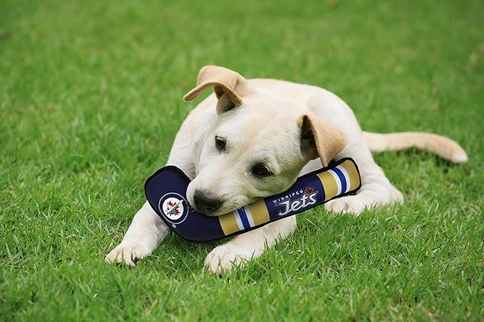 Pets First NHL Winnipeg Jets Stick Toy for Dogs & Cats. Play Hockey with Your Pet with This Licensed Dog Tough Toy Reward!