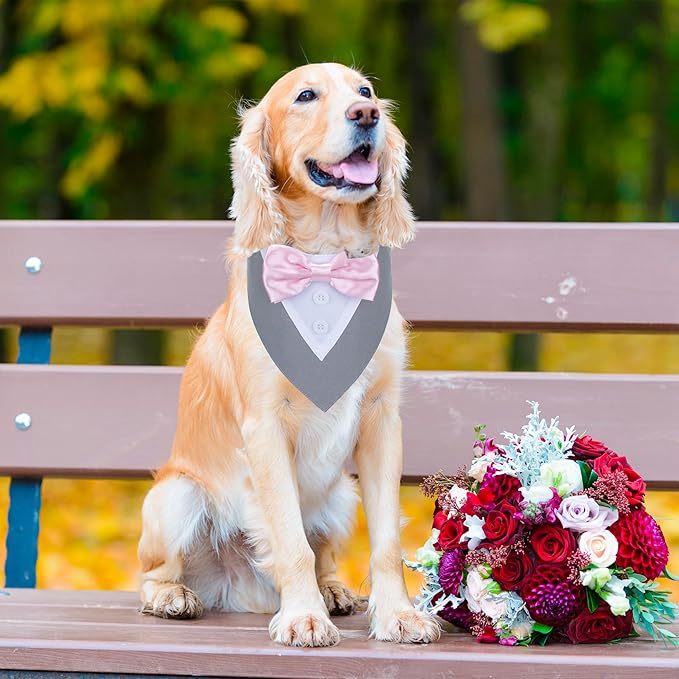 ADOGGYGO Formal Dog Tuxedo Wedding Pet Bandana Collar with Bowtie, Adjustable Birthday Wedding Formal Tux Costumes for Small Dogs Pets (S, Grey)