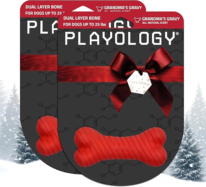 Playology Dog Toys | Dual Layer Bone Durable Chew Toy Bone for Dogs (Value 2-Pack) | Small Grandma's Gravy Scented Toy - Easy to Clean and Made from Non Toxic Materials