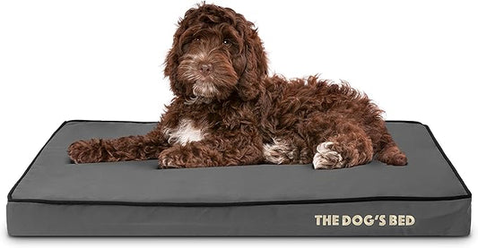 The Dog’s Bed Orthopedic Memory Foam Dog Bed, Medium Grey & Black, Waterproof, Supportive Dog Bed with Replaceable Covers, Veterinary Approved