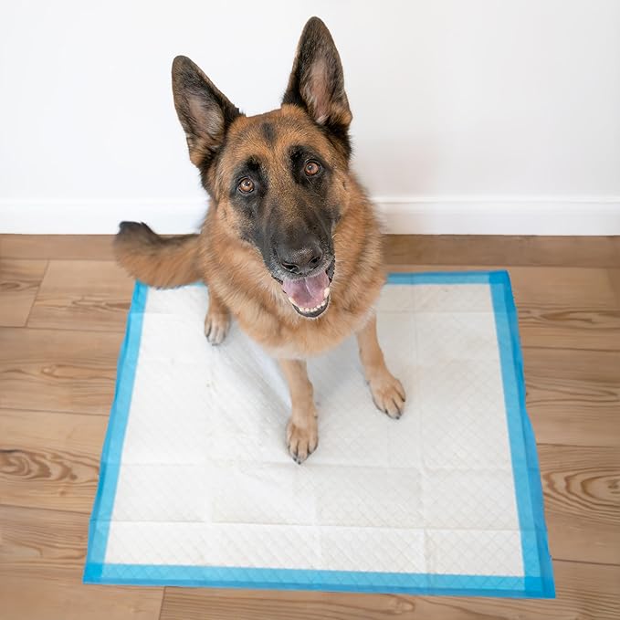 Four Paws Wee-Wee Superior Performance Unscented Extra-Large Pee Pads for Dogs & Puppies, Quilted Leak-Proof Dog Housebreaking Potty Training Floor Protection, 28" x 34", 14 Count