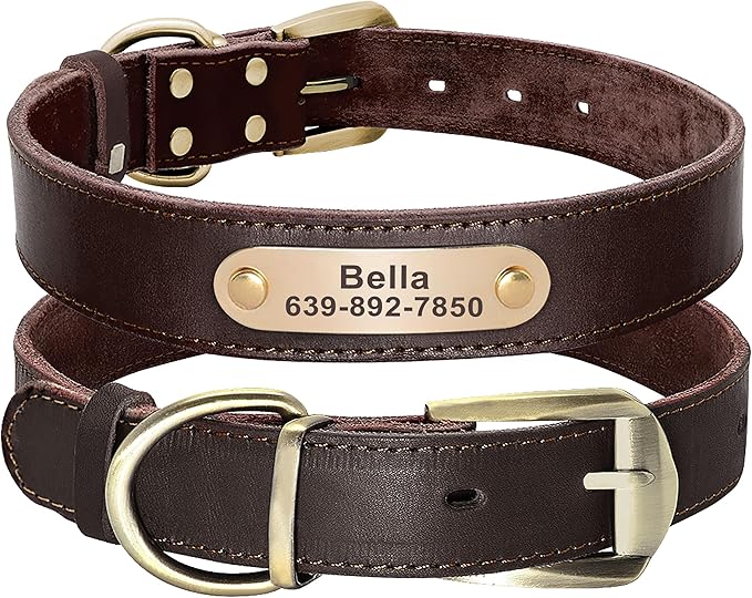 Didog Genuine Leather Dog Collars with Engraved Nameplate, Personalized Soft Leather Dog Collar with Custom ID Tag, Brown/Green/Red for Small Dogs (S,Brown)
