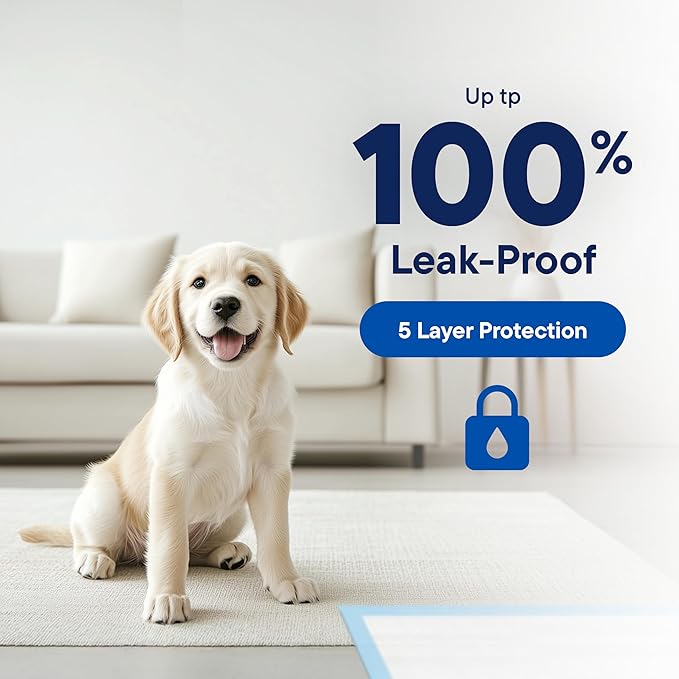 Puppy Pads Pet Pee Pads 22" x 22" [300-Count] Pet Training Disposable Pads, Compact Breed Pad, Leak-Proof, Bulk Case Pack - for Dachshunds, Shih Tzus, Pomeranians, Heavy Duty Surface Protector