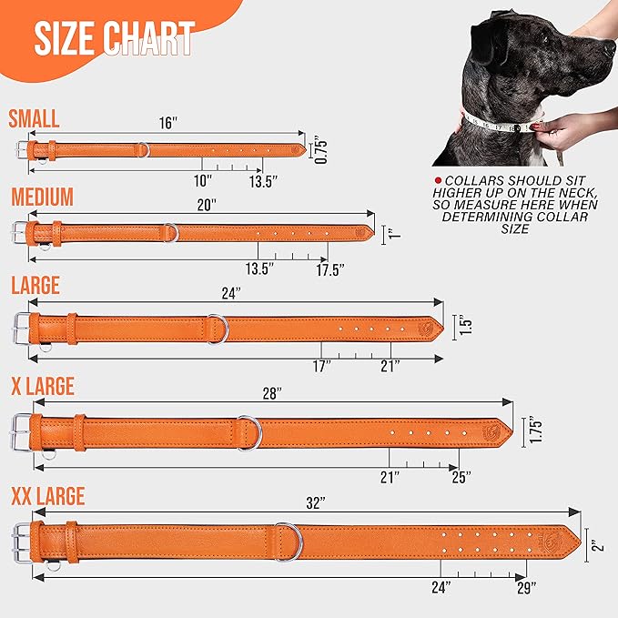 Riparo Orange Dog Collar, Leather Dog Collar with Dog Tag Holder, Small Dog Collar for Small Dogs (S: 0.75” Wide for 10”-13.5” Neck, Orange)