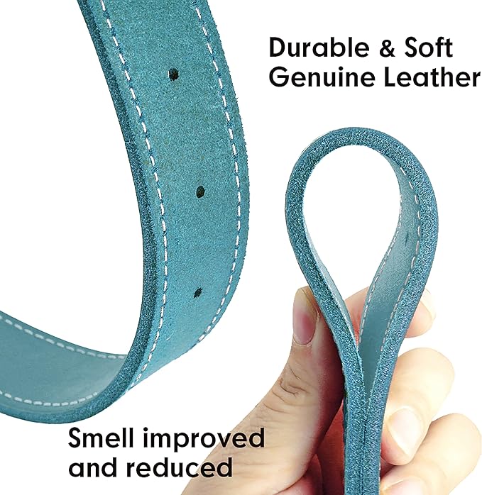 Didog Genuine Leather Dog Collars with Engraved Nameplate, Personalized Soft Leather Dog Collar with Custom ID Tag, Brown/Green/Red for Medium Large Dogs (XXL,Blue)