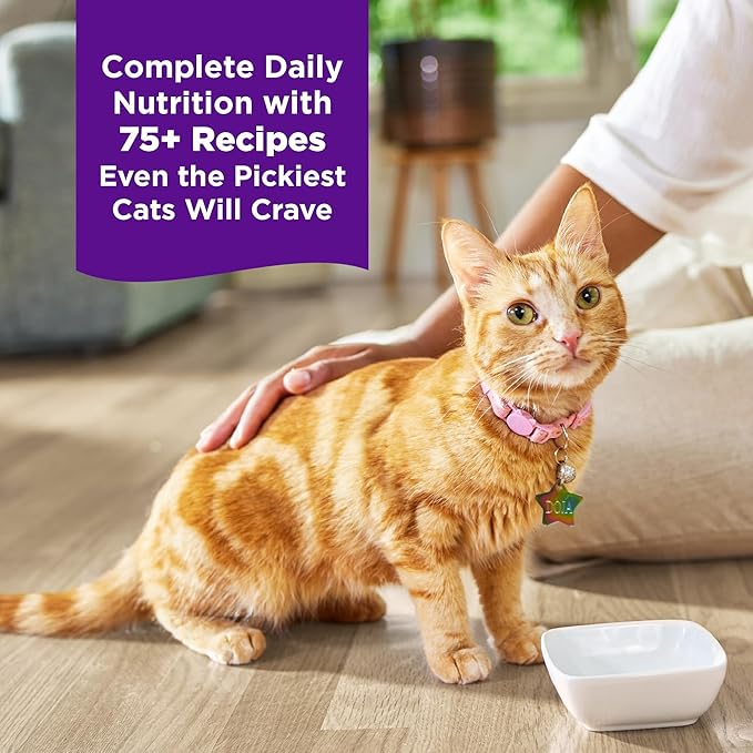 Wellness Complete Health Grilled, Adult Wet Cat Food, Natural, Protein-Rich, Grain-Free, Canned, 3 Ounce, 12 Pack, (Salmon and Chicken Entrée Recipe)