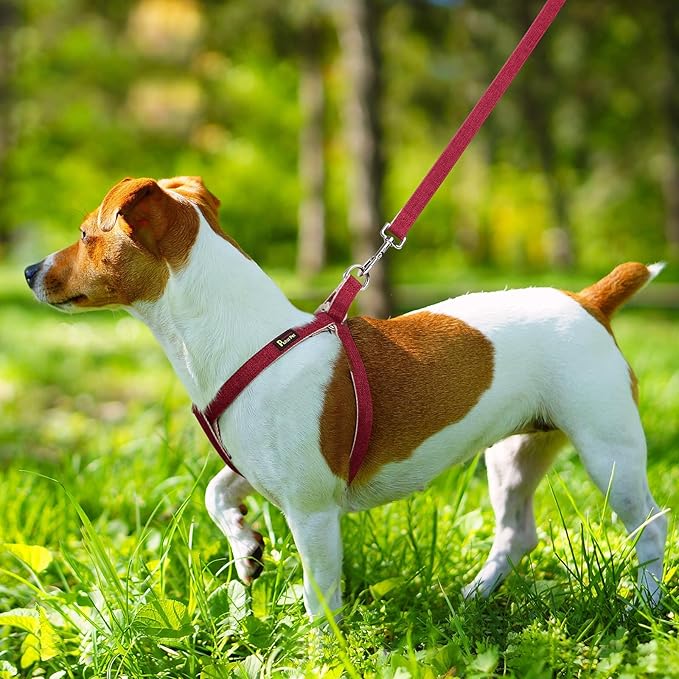 Plutus Pet Cotton Hemp Step in Dog Harness, Sustainable, Lightweight and Escape-Proof, Quick Fit Dog Harness for Puppy Small Medium and Large Dogs, Dark Red, L