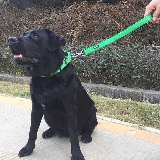 Hyhug Pets Upgraded Traffic Nylon 18 Inch Short Leash with Soft Neoprene Lined Handle for Medium Large Giant Breeds Dogs, Daily Use Walking and Professional Training. (18 Inches, Lime Green)