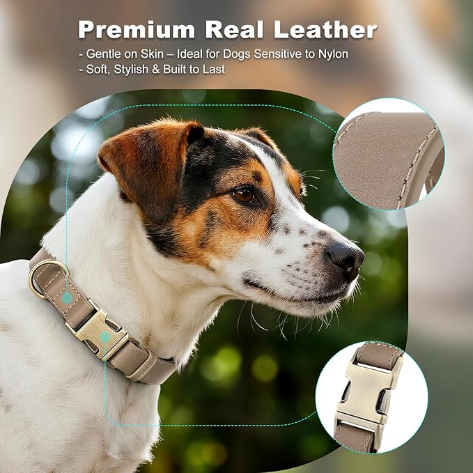 Plutus Pet Genuine Leather Dog Collar – Adjustable Pet Collar with Quick Release Metal Buckle, Soft Real Leather for Small Medium Large Dogs, Heavy Duty & Skin-Friendly (Ash Brown, XS)
