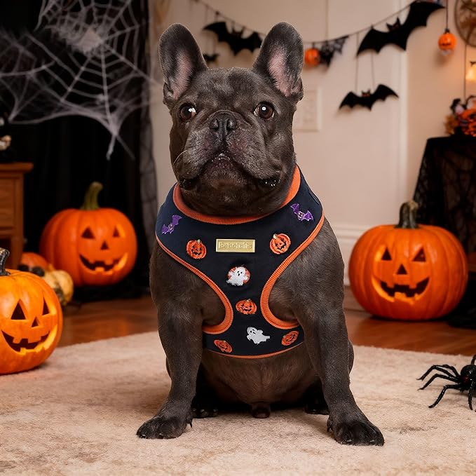 Halloween Velvet Dog Harness, No-Pull Design, Adjustable, XXS-Large, Black, Embroidered, Velvet & Corduroy, Machine-Washable (Black, M)