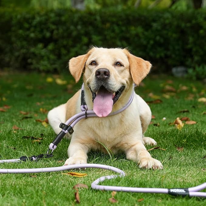 Rope Dog Leash with Two Handles, 6 Foot Heavy Duty Dog Leash with Aviation Aluminum Auto Locking Carabiner, Strong Nylon Pet Lead for Small, Medium, Large Dogs (Navy Blue, 6FT-Two Handle)