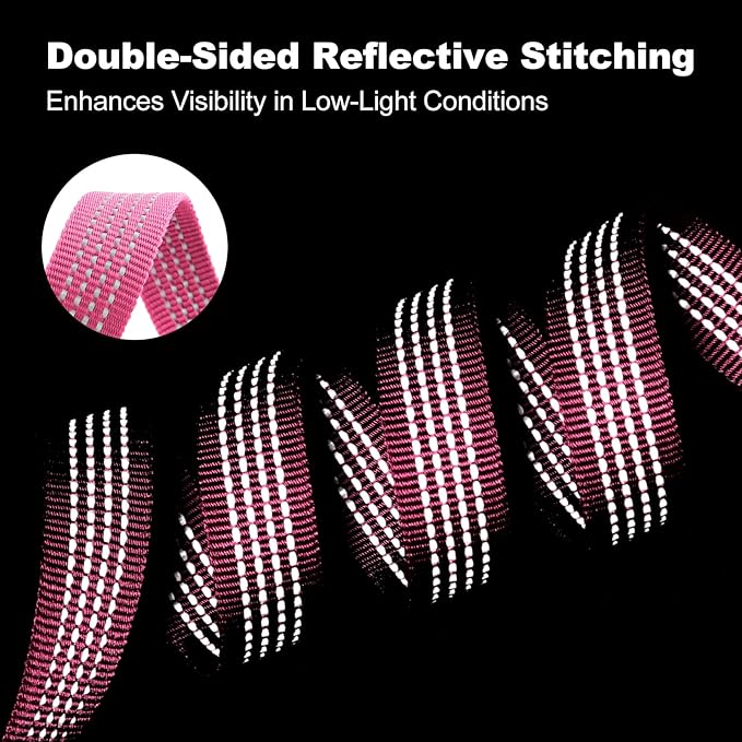 Plutus Pet Heavy Duty Dog Leash with Lockable Aluminum Carabiner, 4/6 Feet Long, Double-Sided Reflective Nylon, Padded Handle, for Puppy, Small, Medium and Large Dogs (Pink, 1" x 6')