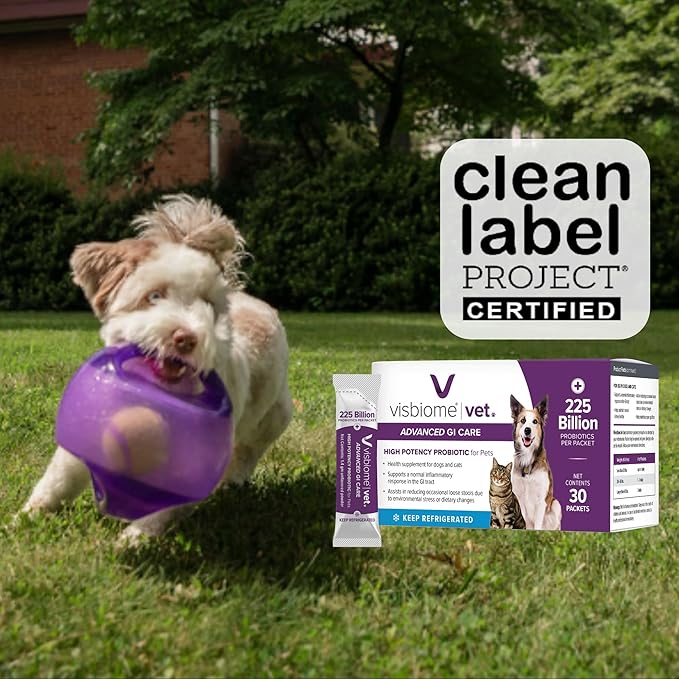 Visbiome® Vet Advanced GI Care High Potency Probiotic for Dogs & Cats – 225B CFU, 8-Strain Formula – Refrigerated, Veterinarian Recommended, Clean Label Certified – 30 Packets