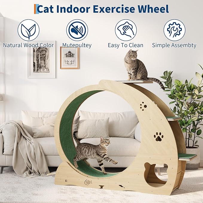 4-in-1 Cat Wheels for Indoor Cats, 40 Inch Large Cat Exercise Wheel, Running Treadmill Wheel with Carpeted Runway, Scratcher