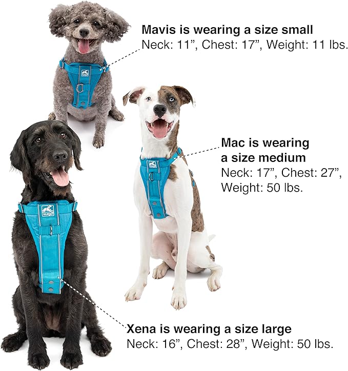 Kurgo Tru-Fit Smart Dog Walking Harness - Comfortable Fit - Adjustable Harness - Reflective Pet Wear - Quick Strap Release - Daily Walk Accessory - Includes Seat Belt Loop - Grey - Small