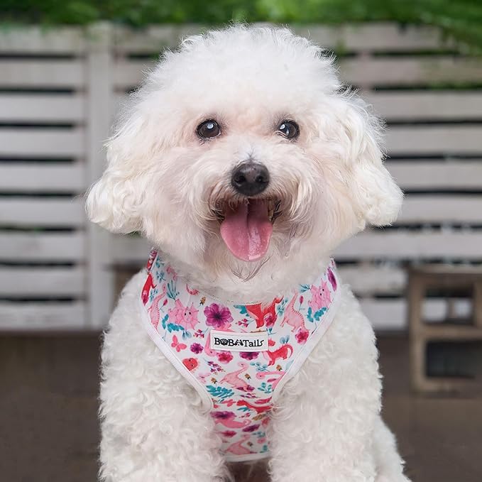 Dinosaur Printed Dog Harness with D-Ring Leash Clip Set,Adjustable Soft Padded and Cotton Fabric Pet Vest Harnesses for Extra Small Dogs (White, Extra Small)