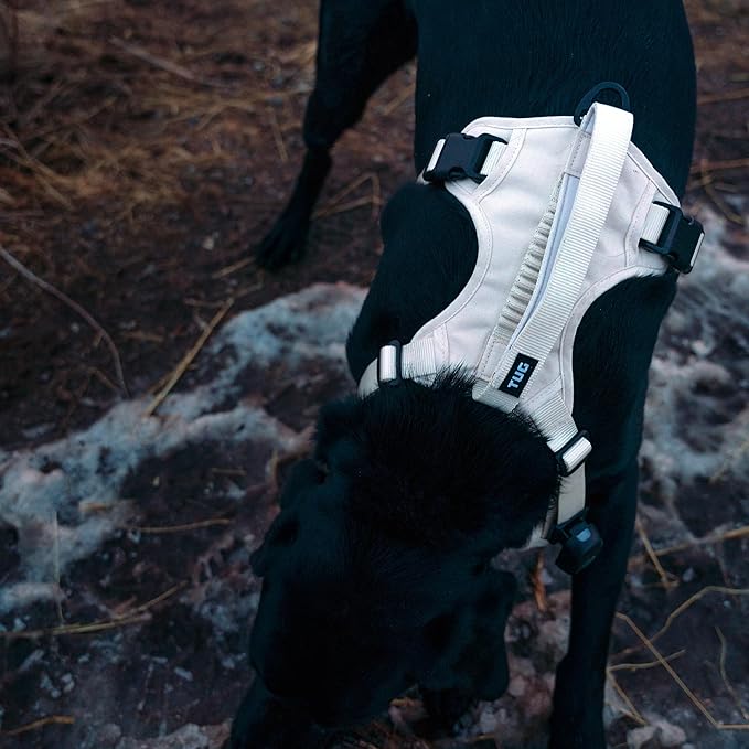 TUG Grab Dog Harness | Integrated Traffic Leash Magnetically Attached for Quick Control (Large/Cream)