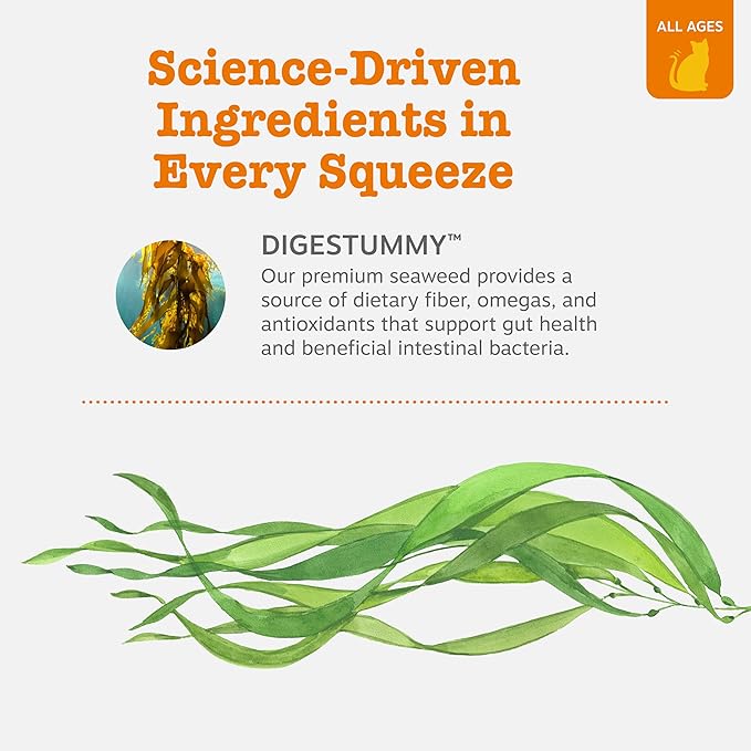 Zesty Paws Cat Mousse Squeezies Puree Cat Treats for Digestion - with Seaweed, Omega Fatty Acids, Antioxidants - Support for Digestive Health Cats - Chicken Flavor - 18 Count