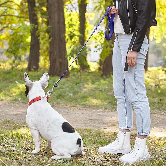 Dogline Biothane Waterproof Dog Leash Strong Coated Nylon Webbing with Black Hardware Odor-Proof Easy to Clean High Performance for Small or Large Dogs Made in USA 4 or 6 ft Lead, Blueberry Royal