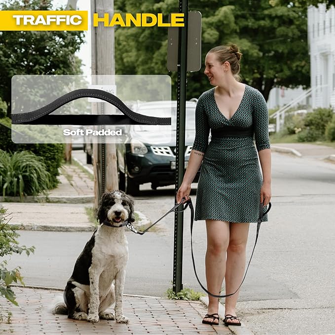 Fida 10ft Heavy Duty Dog Leash with 2 Comfortable Padded Handles, Traffic Handle & Advanced Easy Snap Hook, Reflective Walking Lead for Large, Medium & Small Breed Dogs, Black