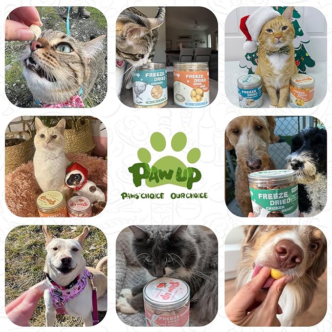 PAWUP Freeze Dried Dog Treats,Chicken Breast&Organs Recipe Raw Dog Food Topper, High Protein Freeze-Dried Food for Cats, Rawhide Free, Gluten&Grain Free, 5.3oz