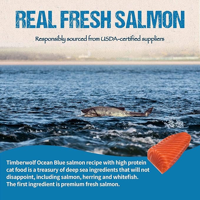 Timberwolf Ocean Blue Salmon Recipe with High Protein Dry Cat Food 10lb