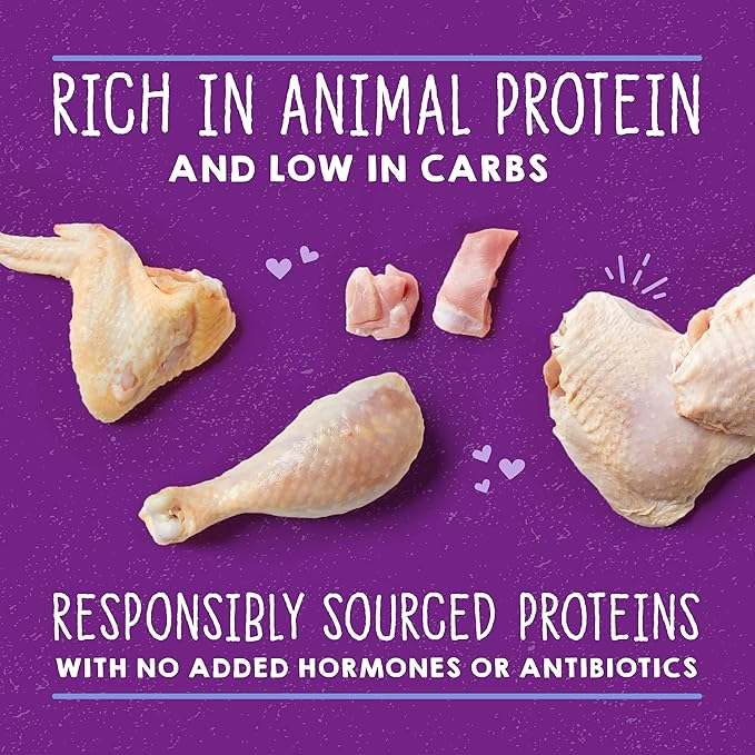 Stella & Chewy's Carnivore Cravings Savory Shreds - Wet Cat Food - High-Moisture Formula with Premium Cage-Free Chicken & Turkey - Perfect for Picky Eaters - 2.8 oz, 12 Count
