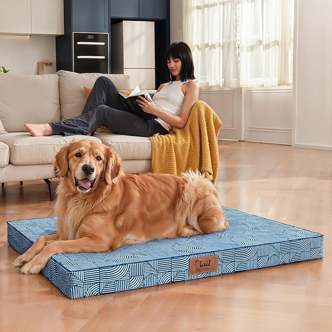 Outdoor Orthopedic Dog Bed for Medium Dogs & Cats, Waterproof Flat Pet Mat with Egg Crate Foam & Washable Removable Oxford Cover, 30x20 Inch, White Blue