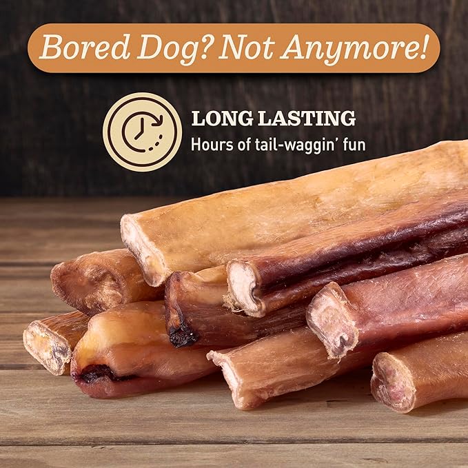 Pet Odor-Free Extra Thick Jumbo Bully Sticks for Large Dogs (6", 10 Pack) – All-Natural, Long-Lasting Dog Chews Made from 100% Grass-Fed Beef, High-Protein & Grain-Free.