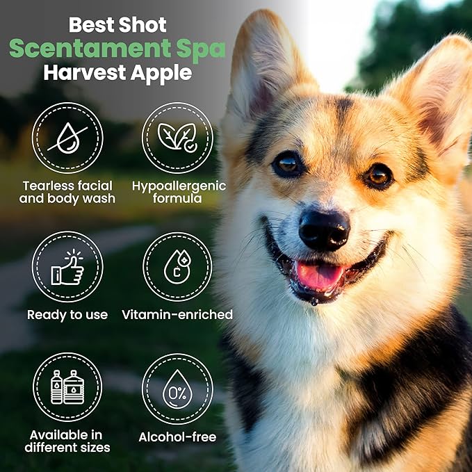 Best Shot Scentament Spa Botanical Body Splash, Harvest Apple, 8 oz