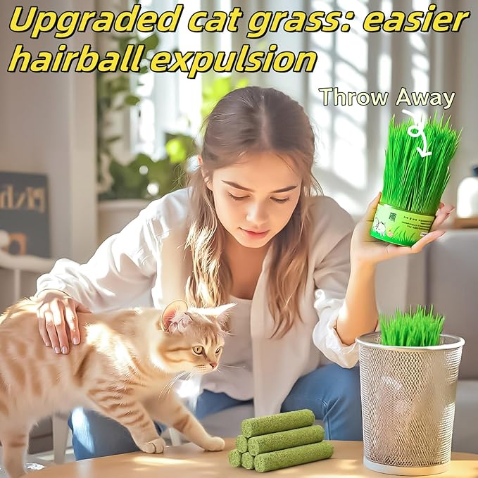 Cat Toys 20Pack Cats Grass Teething Stick Kitten Chew Treat for Removal Hairballs Kitty Dental Care Snack Freeze Dried Cat Food