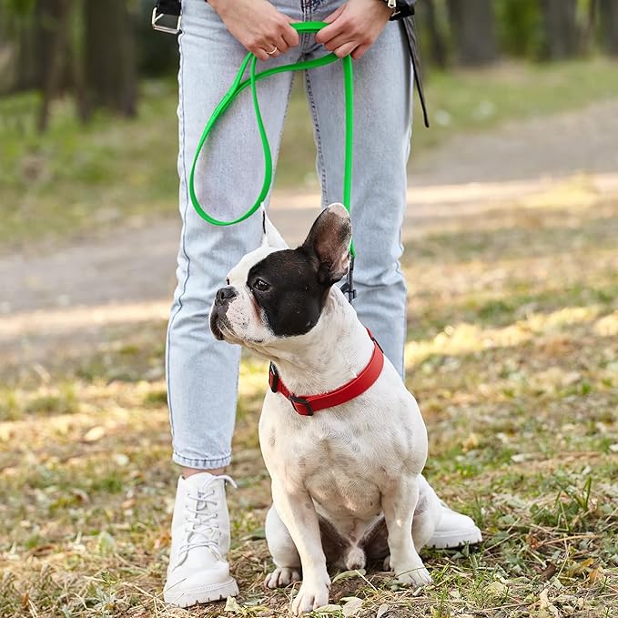 Dogline Biothane Waterproof Dog Leash Strong Coated Nylon Webbing with Black Hardware Odor-Proof Easy to Clean High Performance for Small or Large Dogs Made in USA 2 ft Lead, Tropical Green