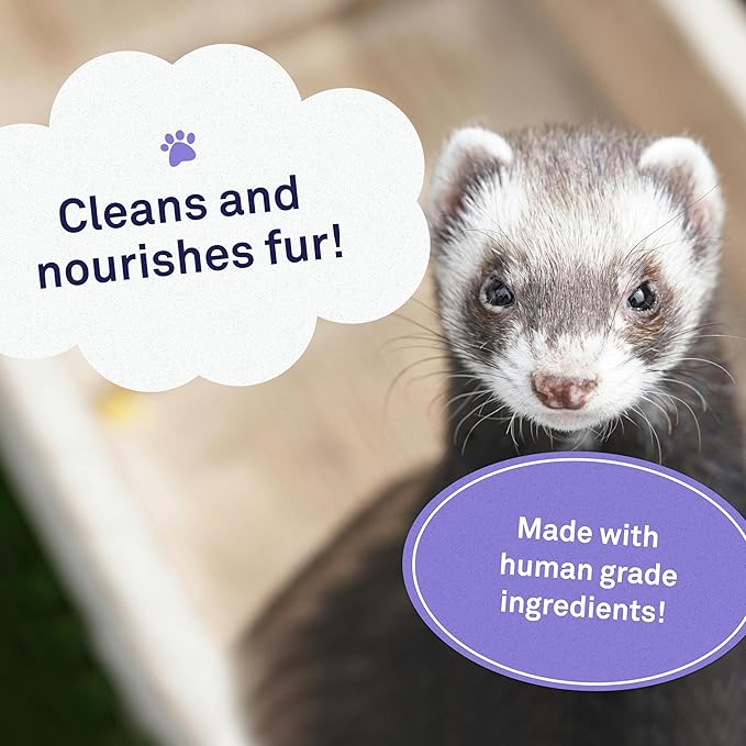 Petpost | Ferret Shampoo. Deodorizing & Moisturizing Formula for Ferrets and Small Animals. Supports Healthy Skin & Coat. 8 oz