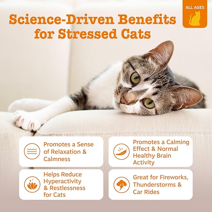 Zesty Paws Calming Mousse for Cats - Composure & Relaxation for Stress & Separation - Cat Calming Supplement with Ashwagandha, L-Theanine, Valerian Root & Vitamin B1-14 Count