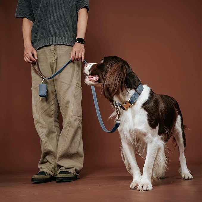 Didog PU Leather Dog Leash for Small Dogs 4.5ft, Soft Padded Handle Dog Leashes for Medium Size, Walking and Training Leashes Faux Leather for Large Pet,Blue