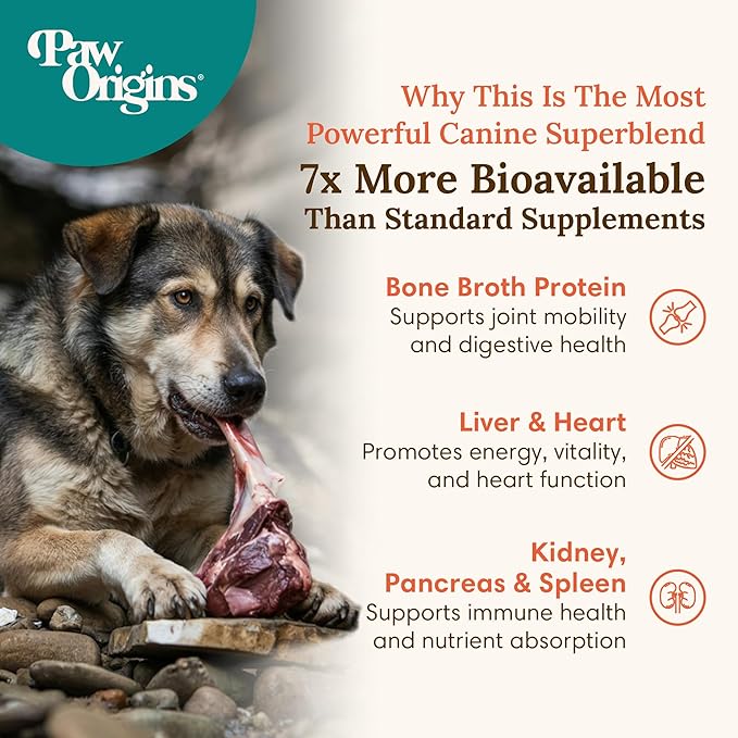 PawOrigins® Primal-Vitality™ Bone Broth Powder for Dogs – Grass-Fed Beef Organ Complex with Liver, Heart, Kidney, Pancreas, Spleen & Bone Broth Protein – Natural Dog Food Topper, 120 Servings