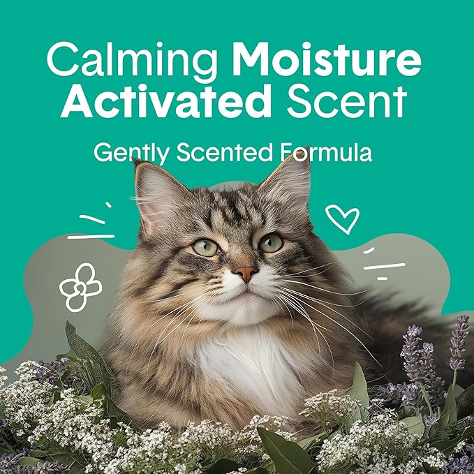 Boxiecat Gently Scented Premium Clumping Clay Cat Litter, 28-Pounds