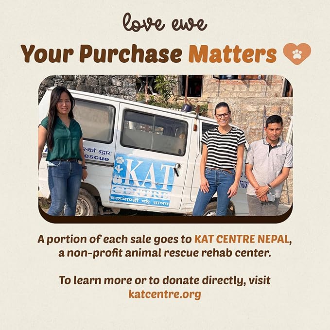 Hustle & Blush Love Ewe Felted Cat Toys 3 Pack - 2 Inch Flower & Bee Hand Made Cute & Fun Design Kitten Wool Felt Balls for Indoor Play & Exercise - 100% New Zealand Handmade - Holiday Pet