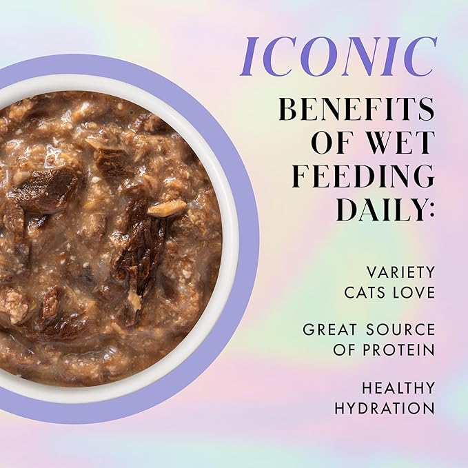 Weruva Paris Hilton Pamper Like Paris Wet Cat Food, Beef and Chicken in Gravy, 2.47oz Pouch, Pack of 12